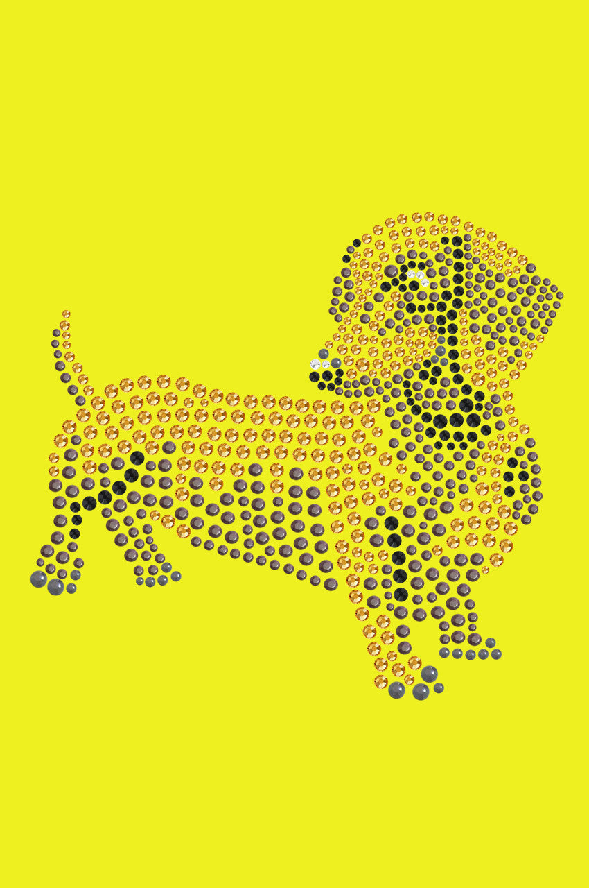 Dachshund 2 - bandana