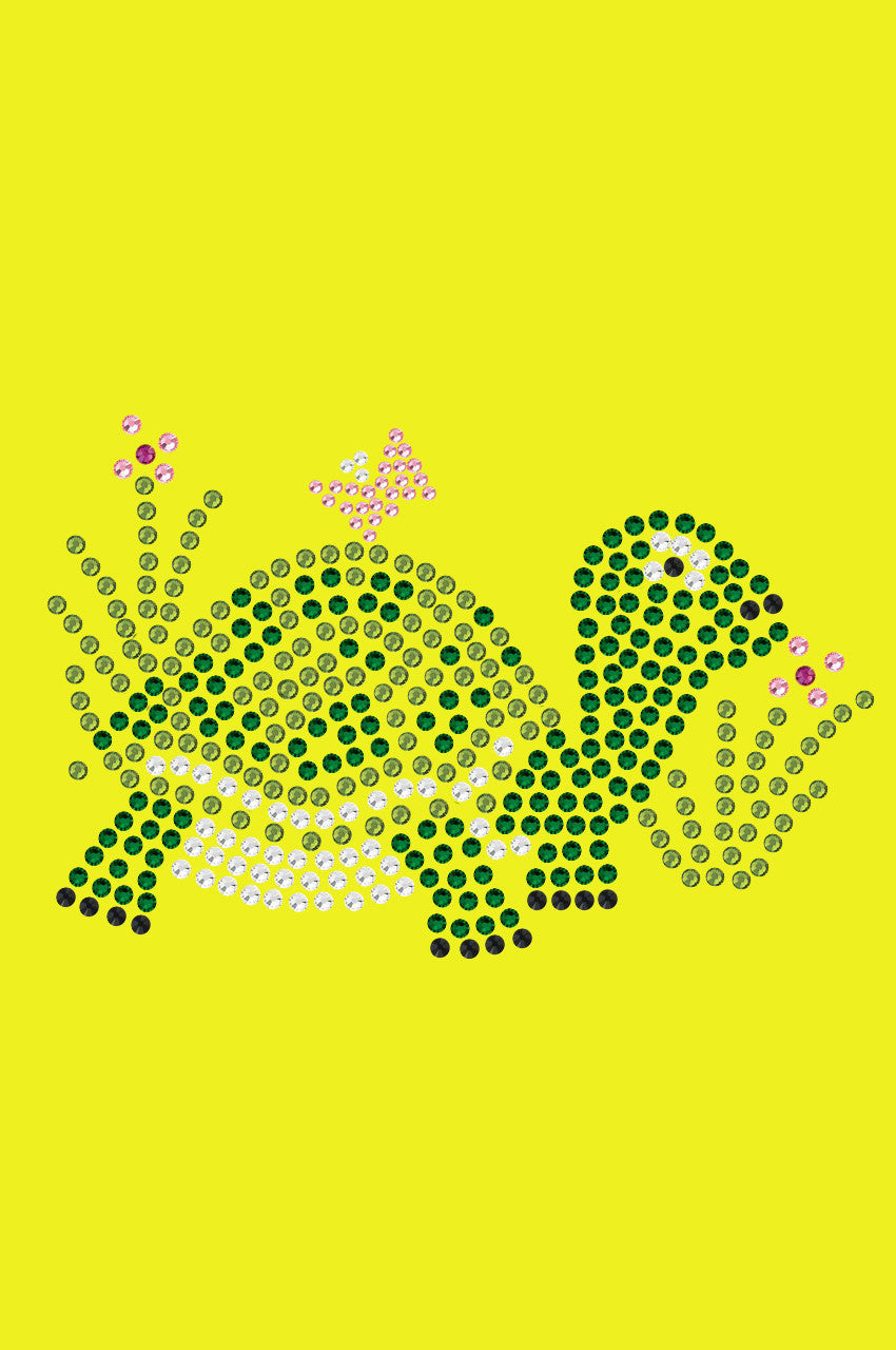 Turtle - Bandanna