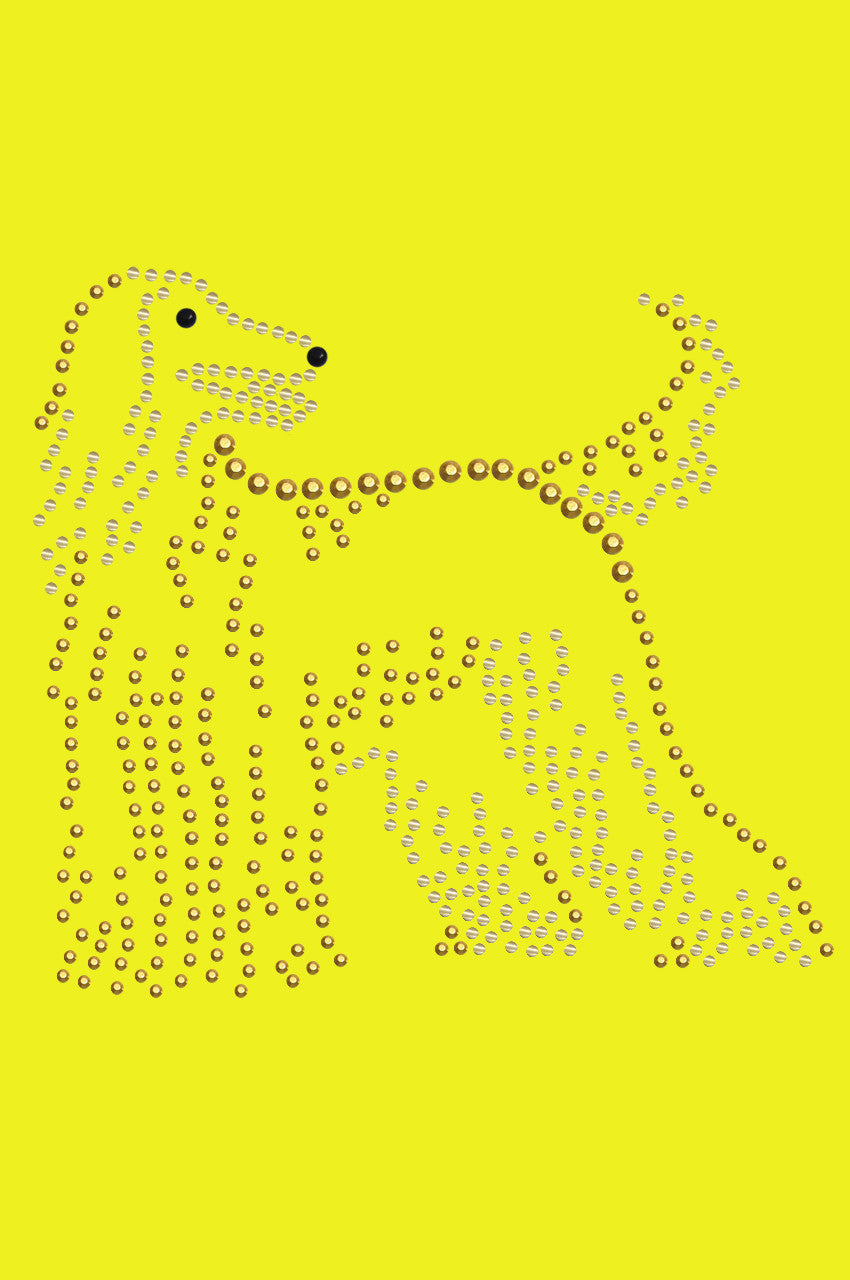 Afghan Hound - bandana