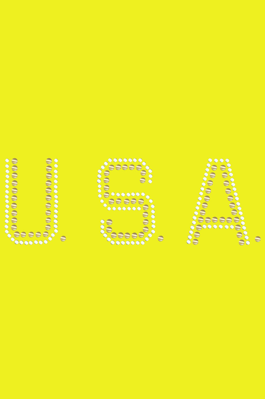 USA (Gold & Silver Nailheads) - Bandanna