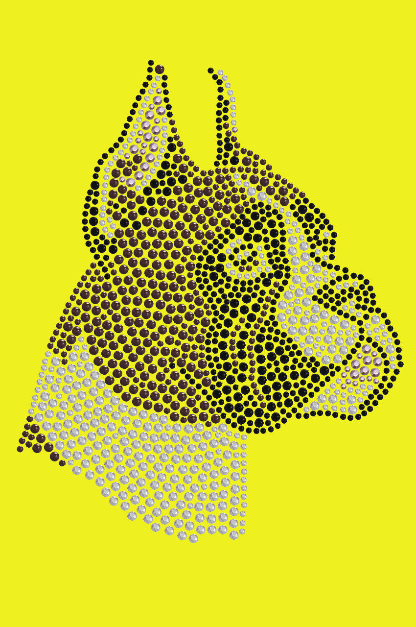 Boxer - bandana