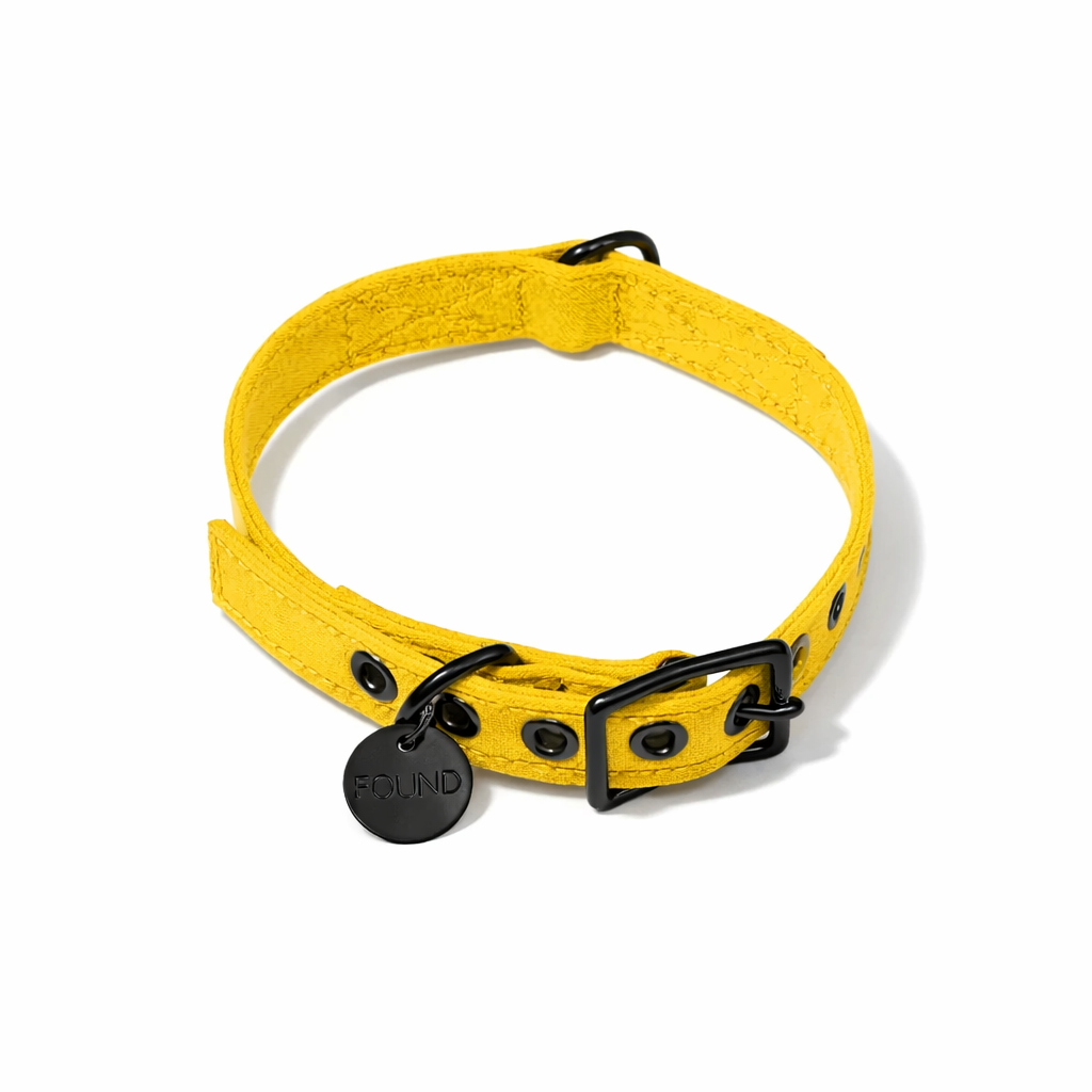 Yellow Waxed Cotton Canvas Cat & Dog Collar – Matte Black Hardware