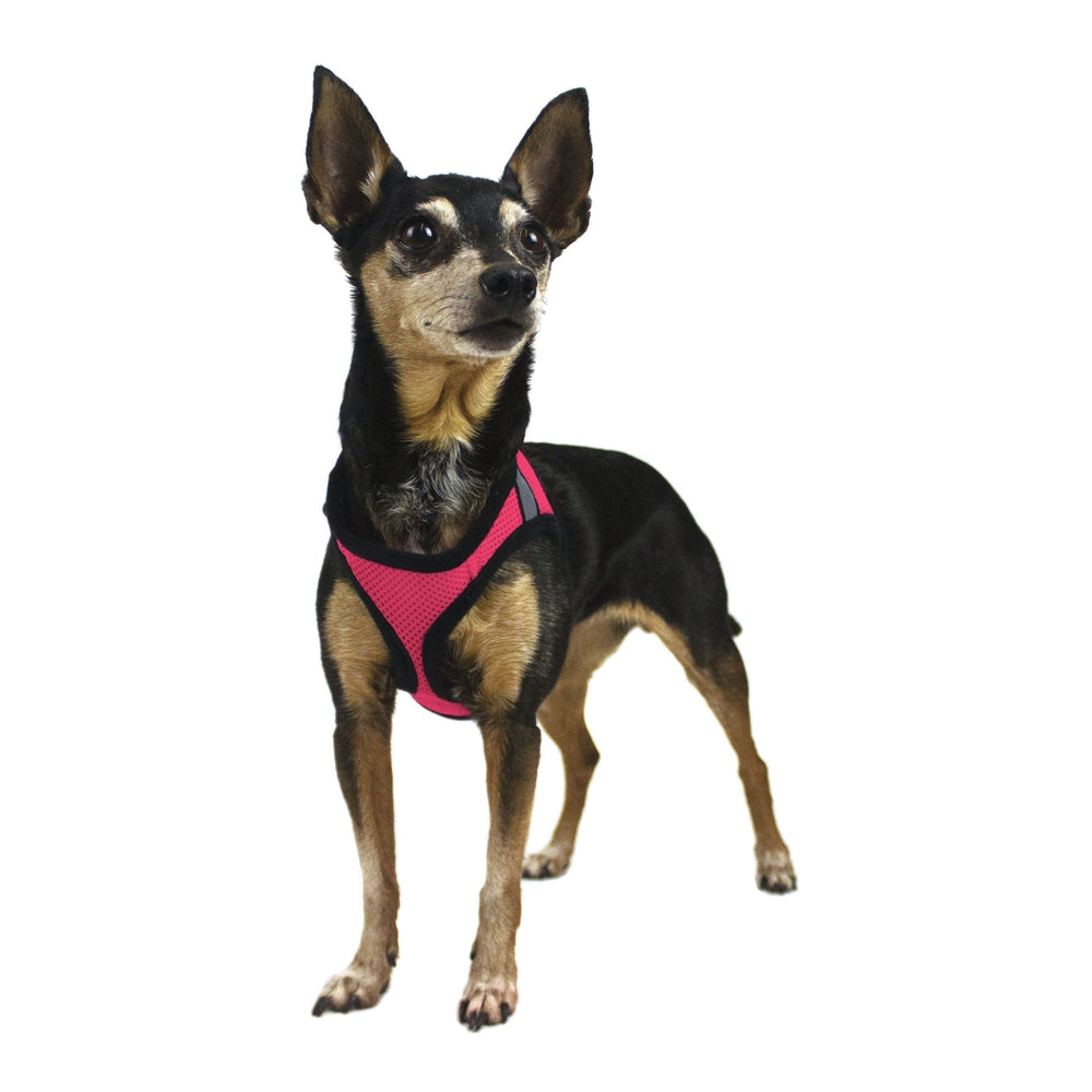 Dogline York Mesh Dog Harness