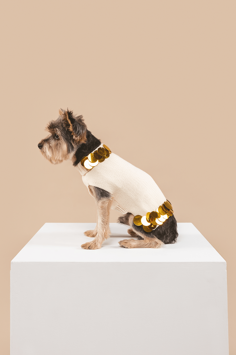 Fancy You Sweater 