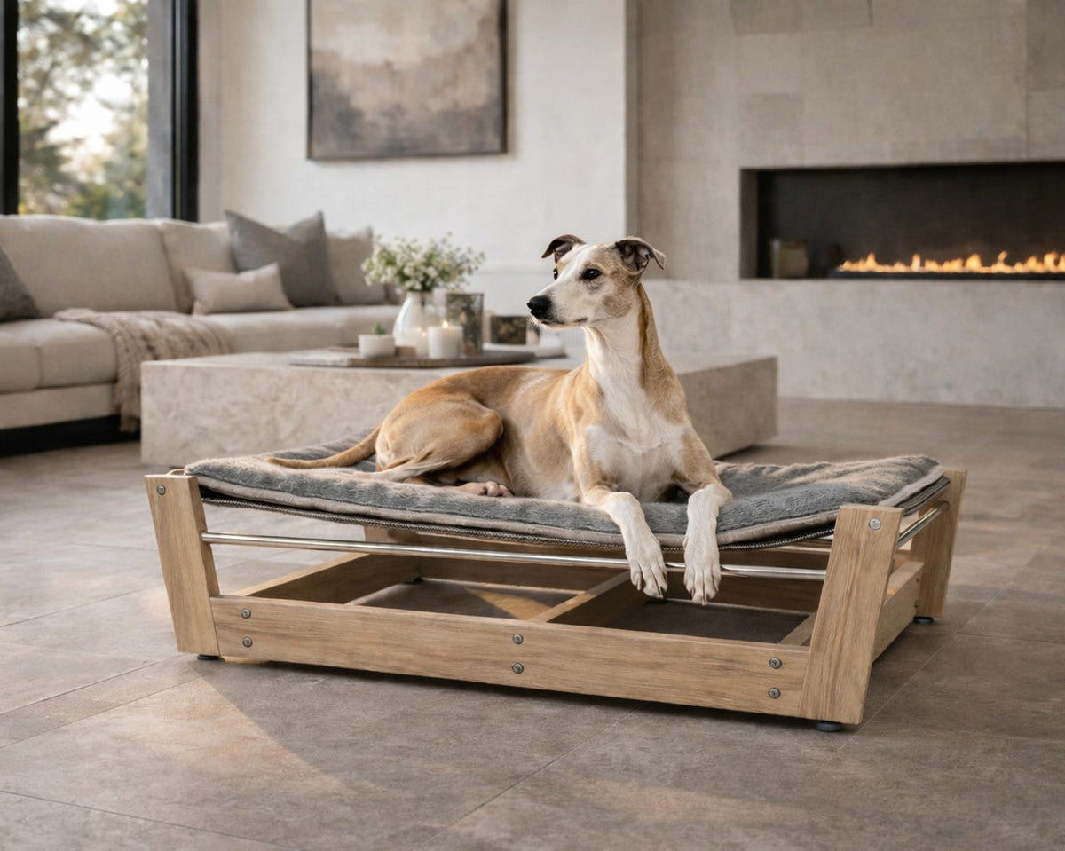 Bowsers Yugen Pet Lounger Dog Bed - Spacious Everyday Lounge Comfort