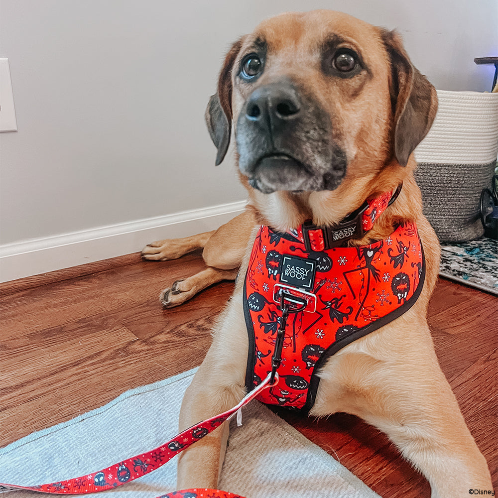 Dog Collar - The Nightmare Before Christmas™ (Red)