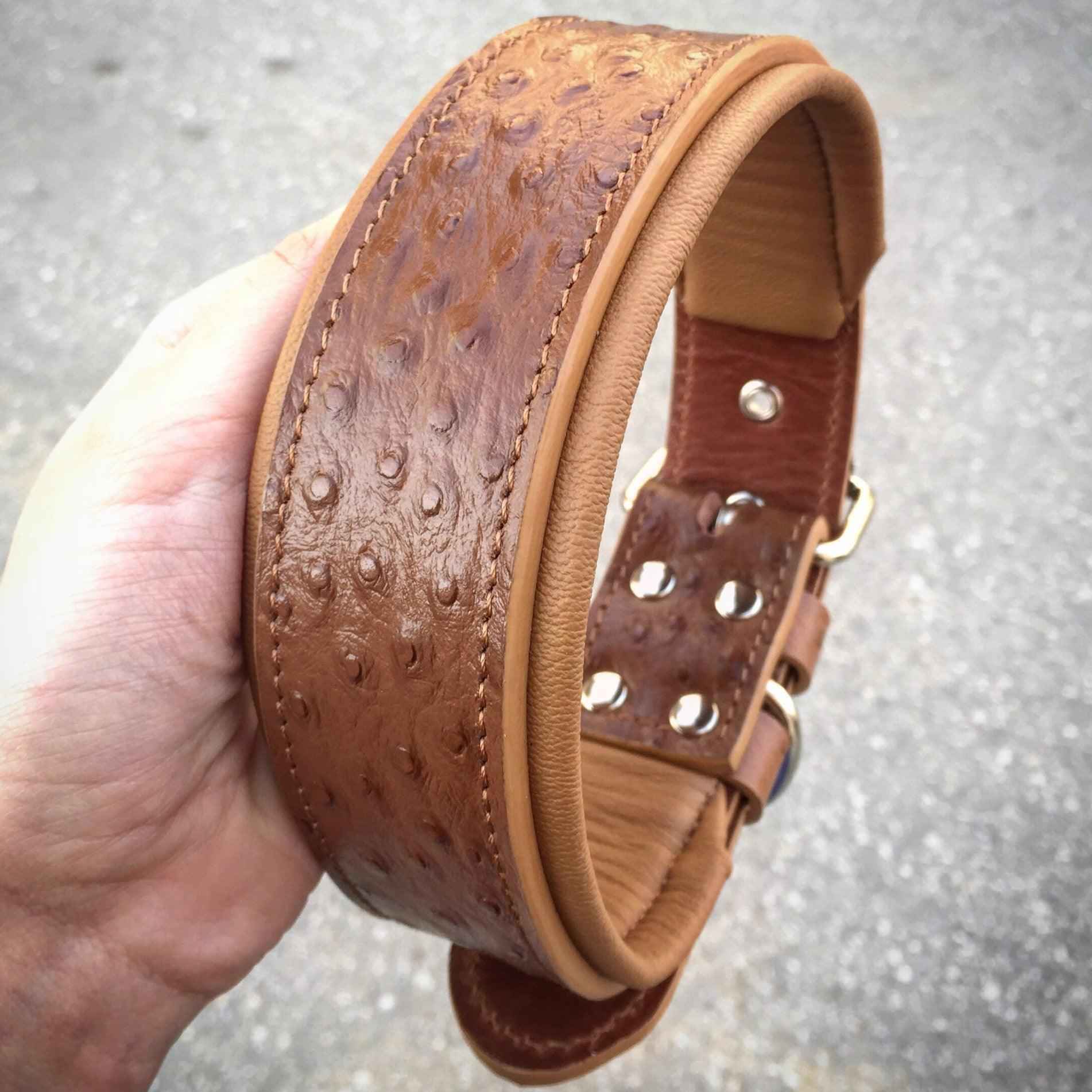 Bestia Ostrich Limited Edition Leather Dog Collar