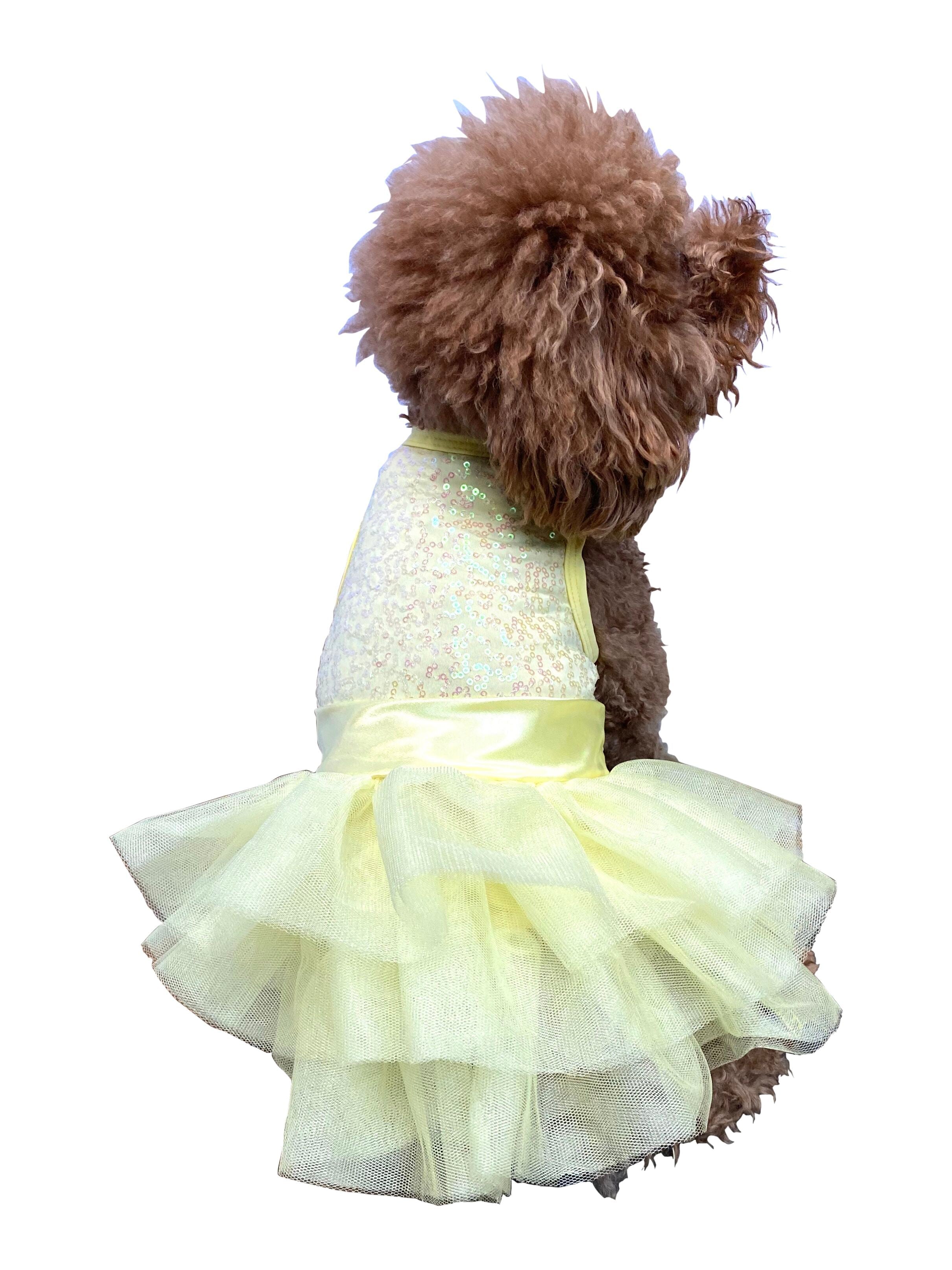 Zsa Zsa Dog Tutu Dress in Lemon Yellow