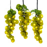 Kurt Adler 75-Light LED Large Green Grape Light Set