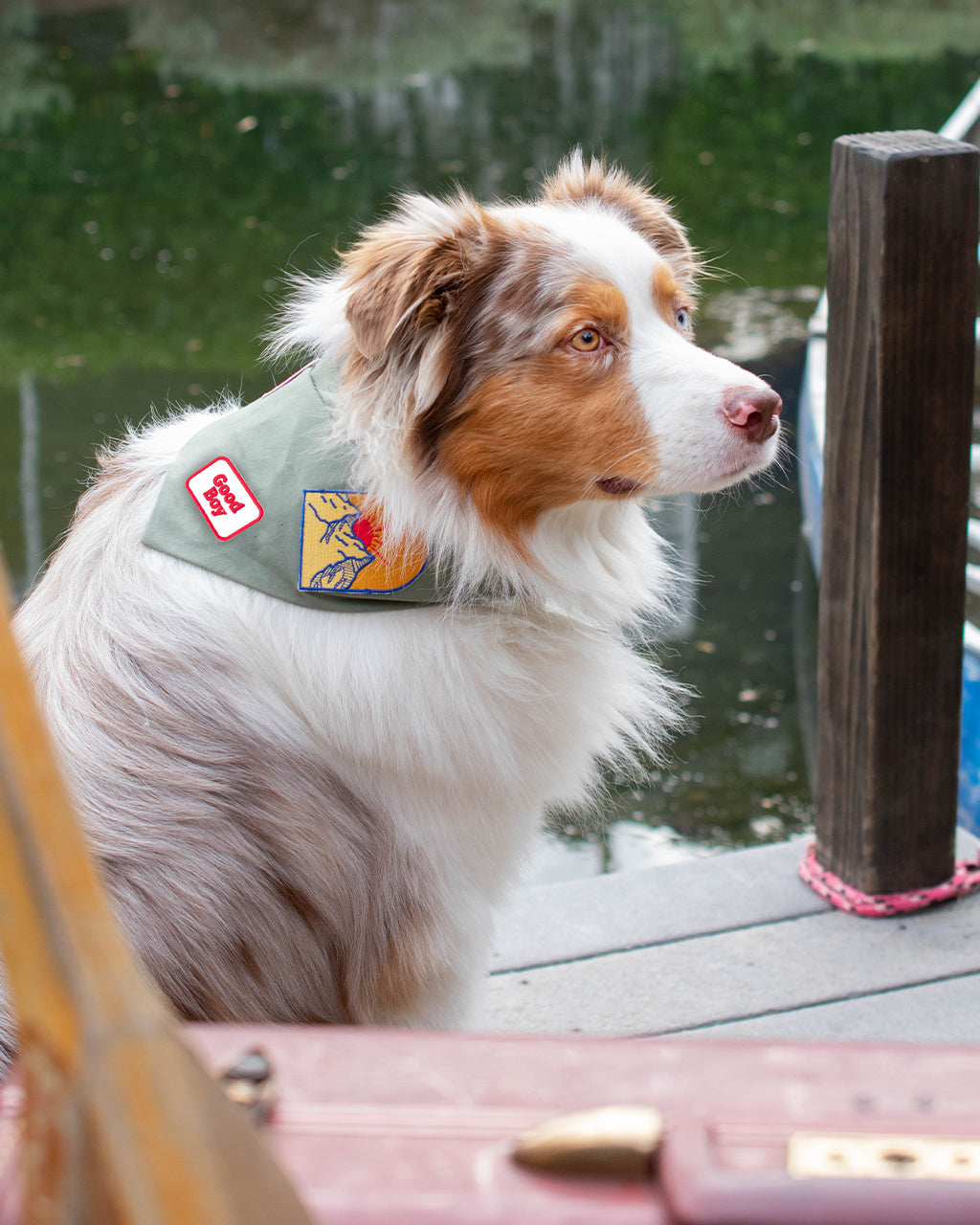 Adventure Bandana
