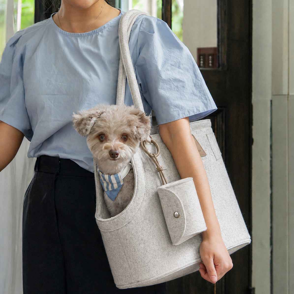 Nooee Pet Ash Felt Dog Carrier