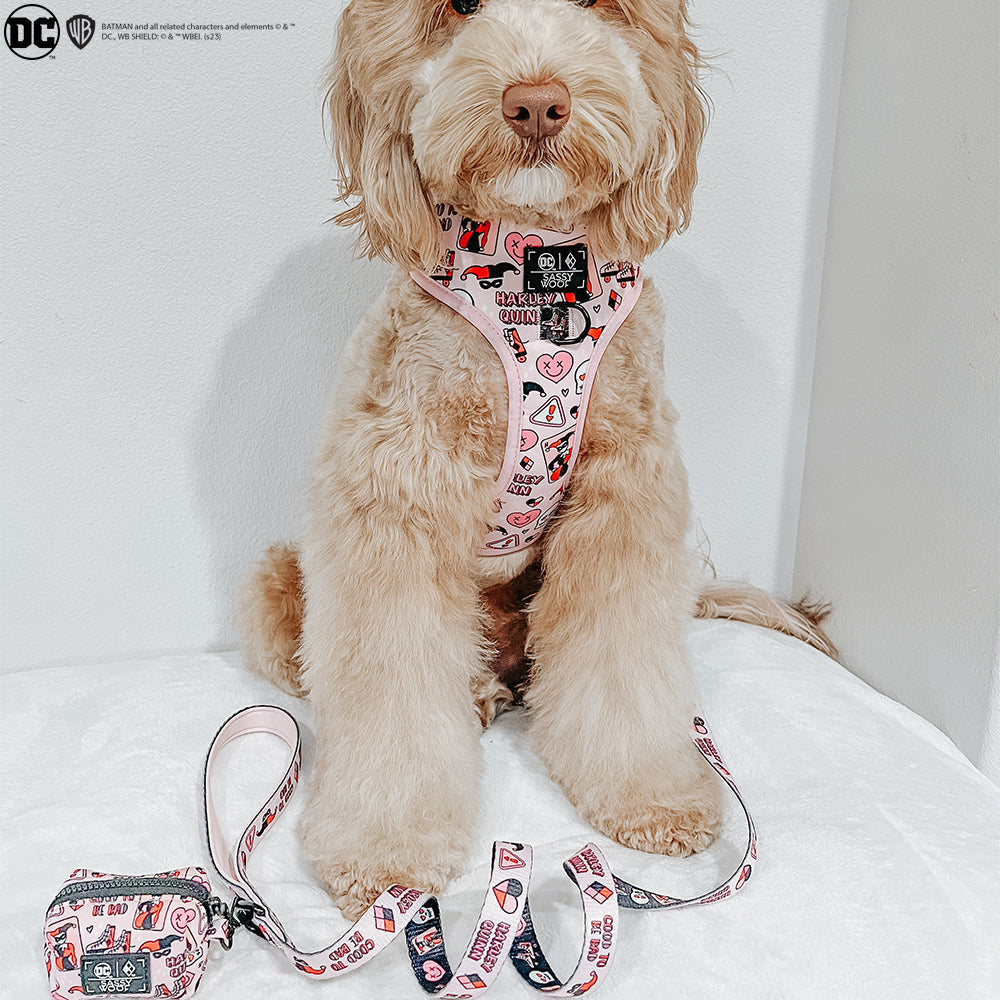 Dog Adjustable Harness - Harley Quinn™