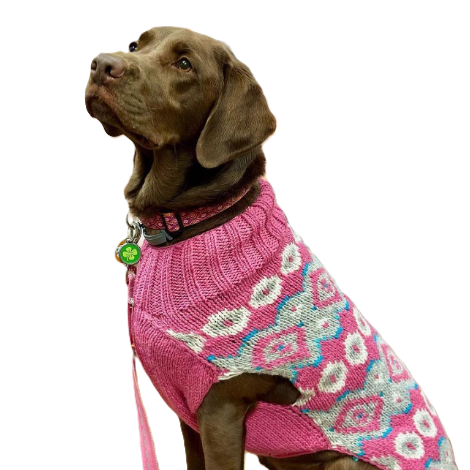 Chilly Dog Rose Fair Isle Alpaca Wool Dog Sweater
