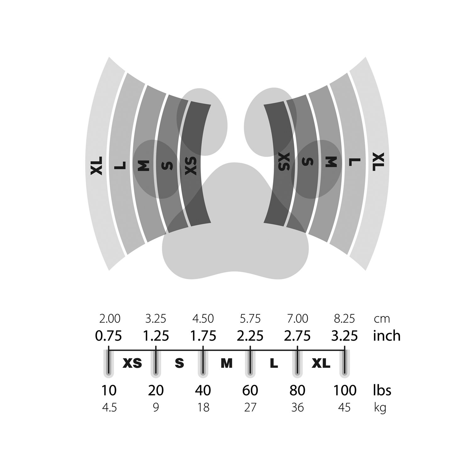 Saltsox 2025 / Winter Night Blue
