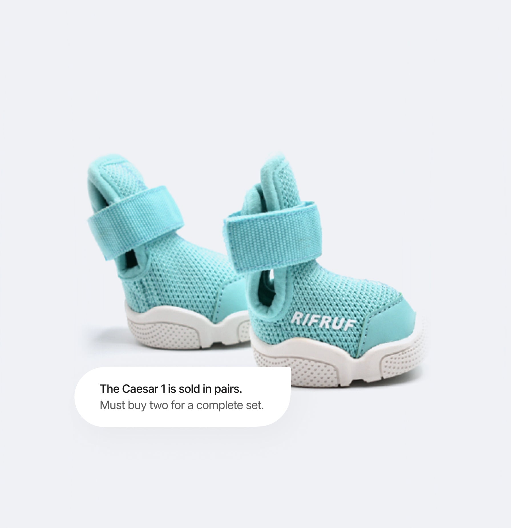 RIFRUF Caesar 1 Dog Sneakers Aqua