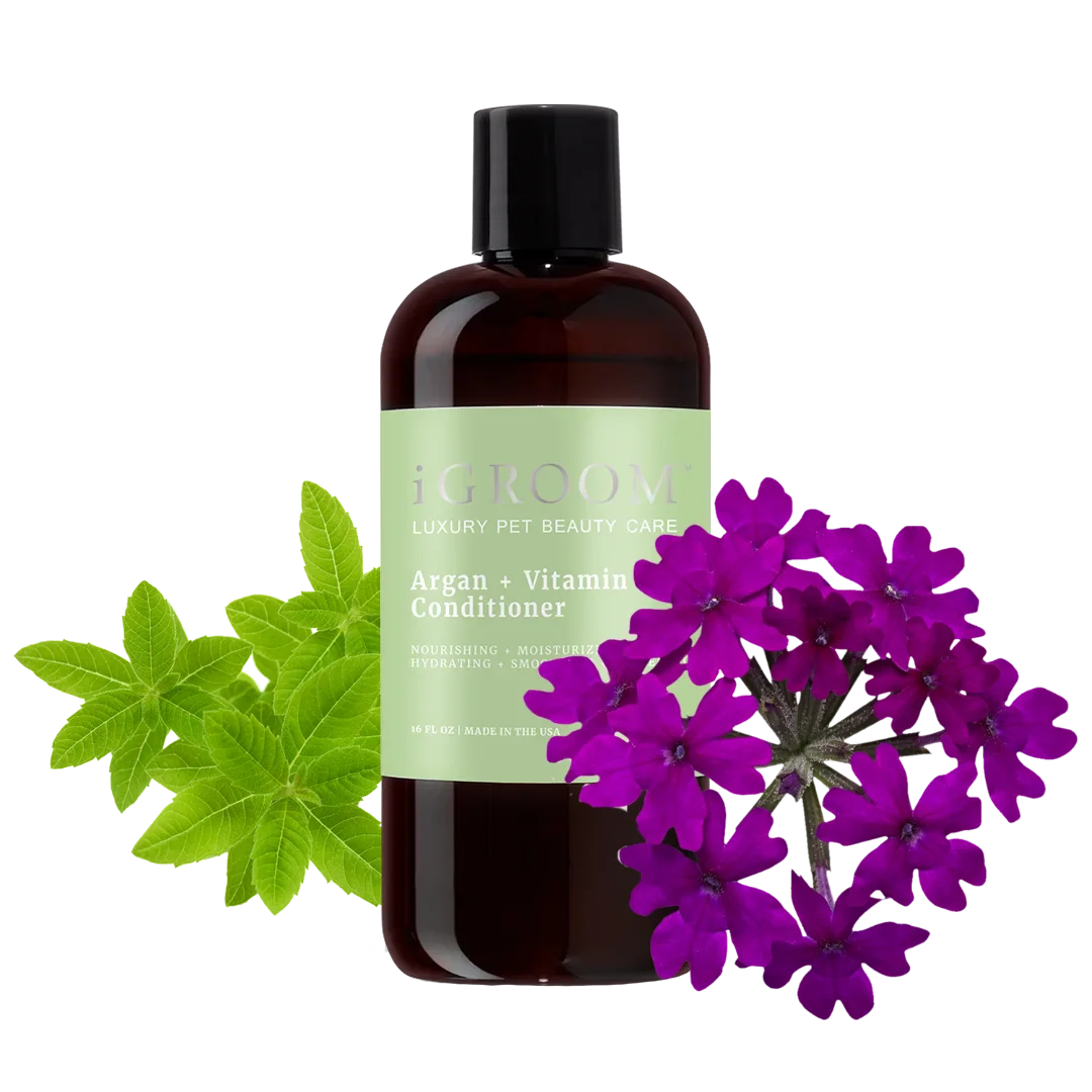Argan and Vitamin E Conditioner 16oz by iGroom
