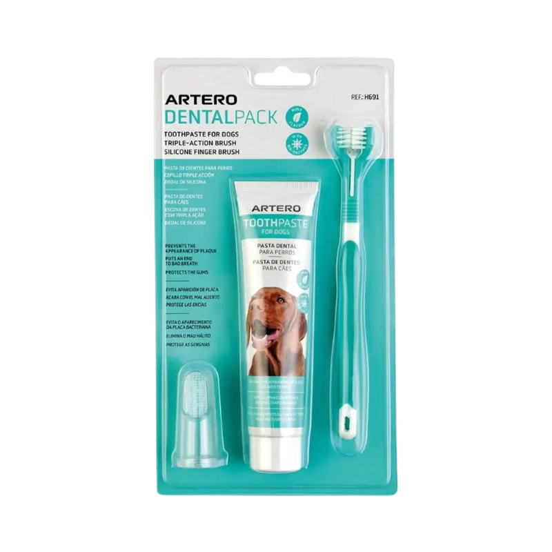 Dental Pack Smile Complete Set by Artero