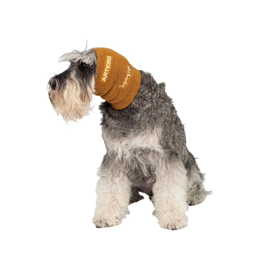 Focus Protective Ear Bands by Artero