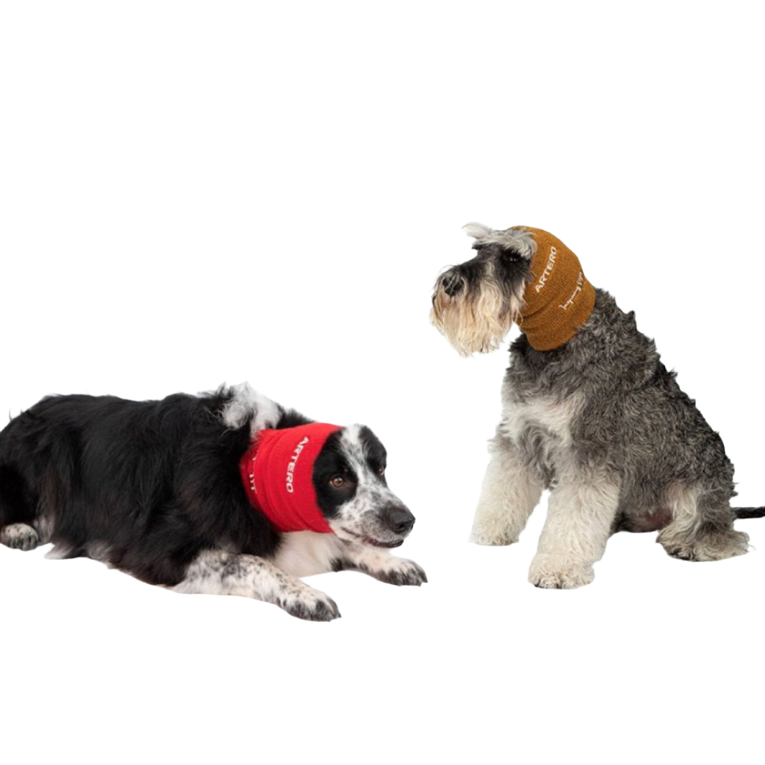 Focus Protective Ear Bands by Artero