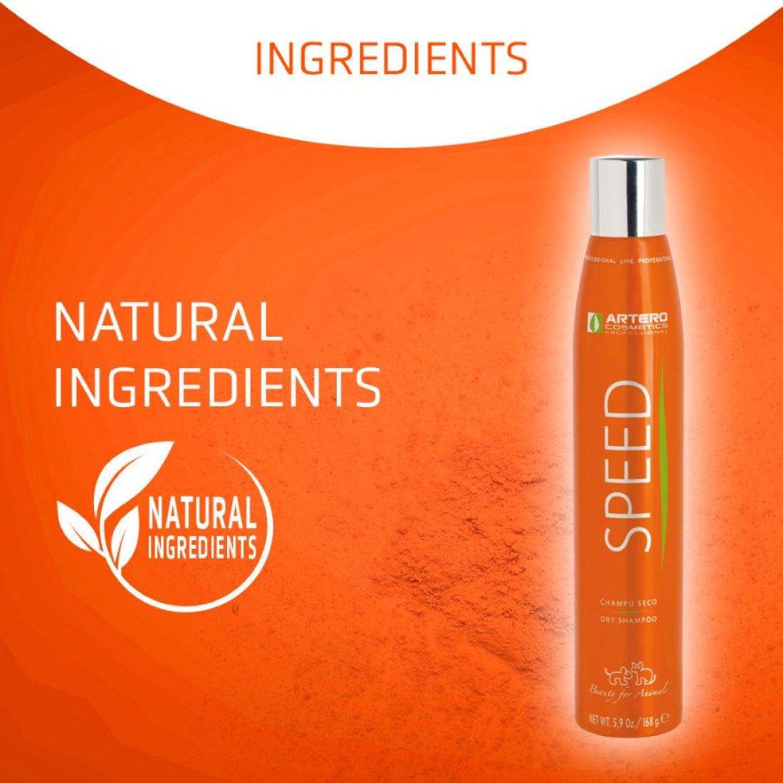 SPEED Dry Shampoo by Artero