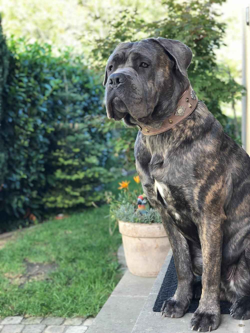 Bestia Aztec Grey Leather Dog Collar