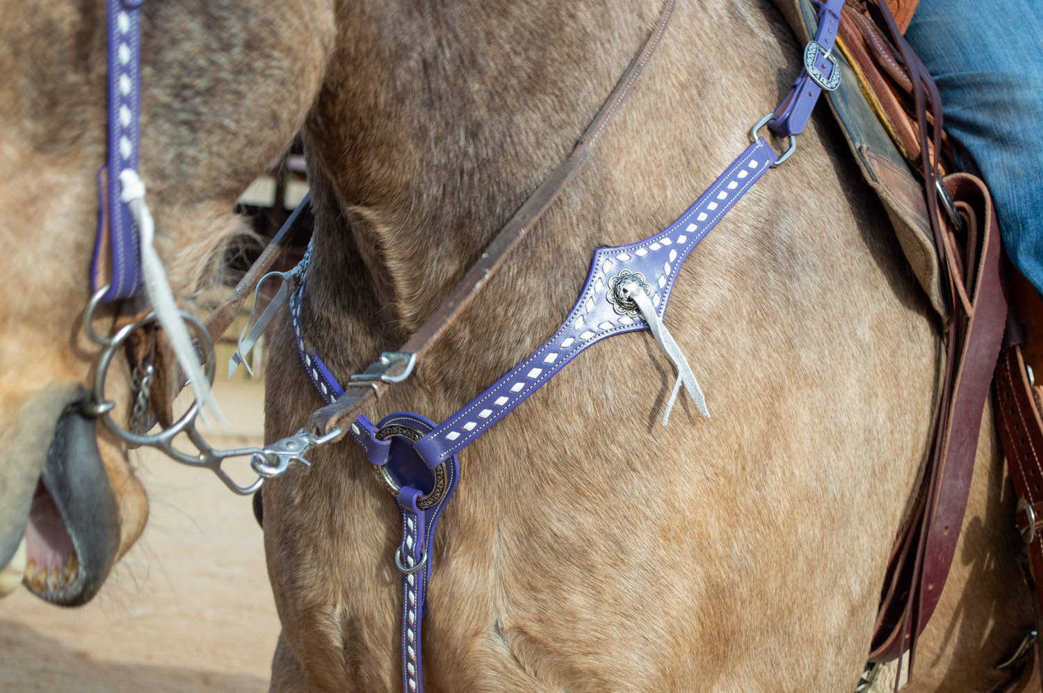 Buckstitchin Beauty Purple Tack Set