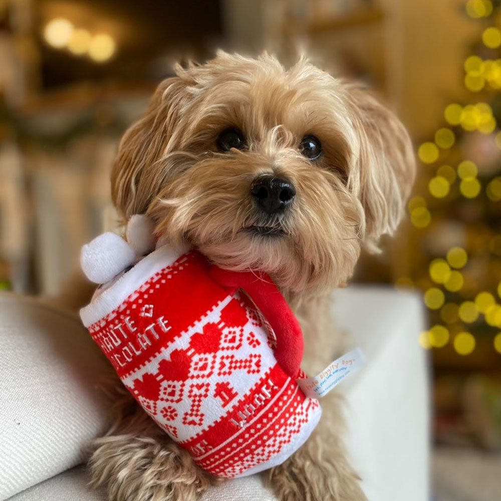 Haute Diggity Dog Holly Cup, Green Stars Bone, & Haute Chocolate Christmas Plush Dog Toy