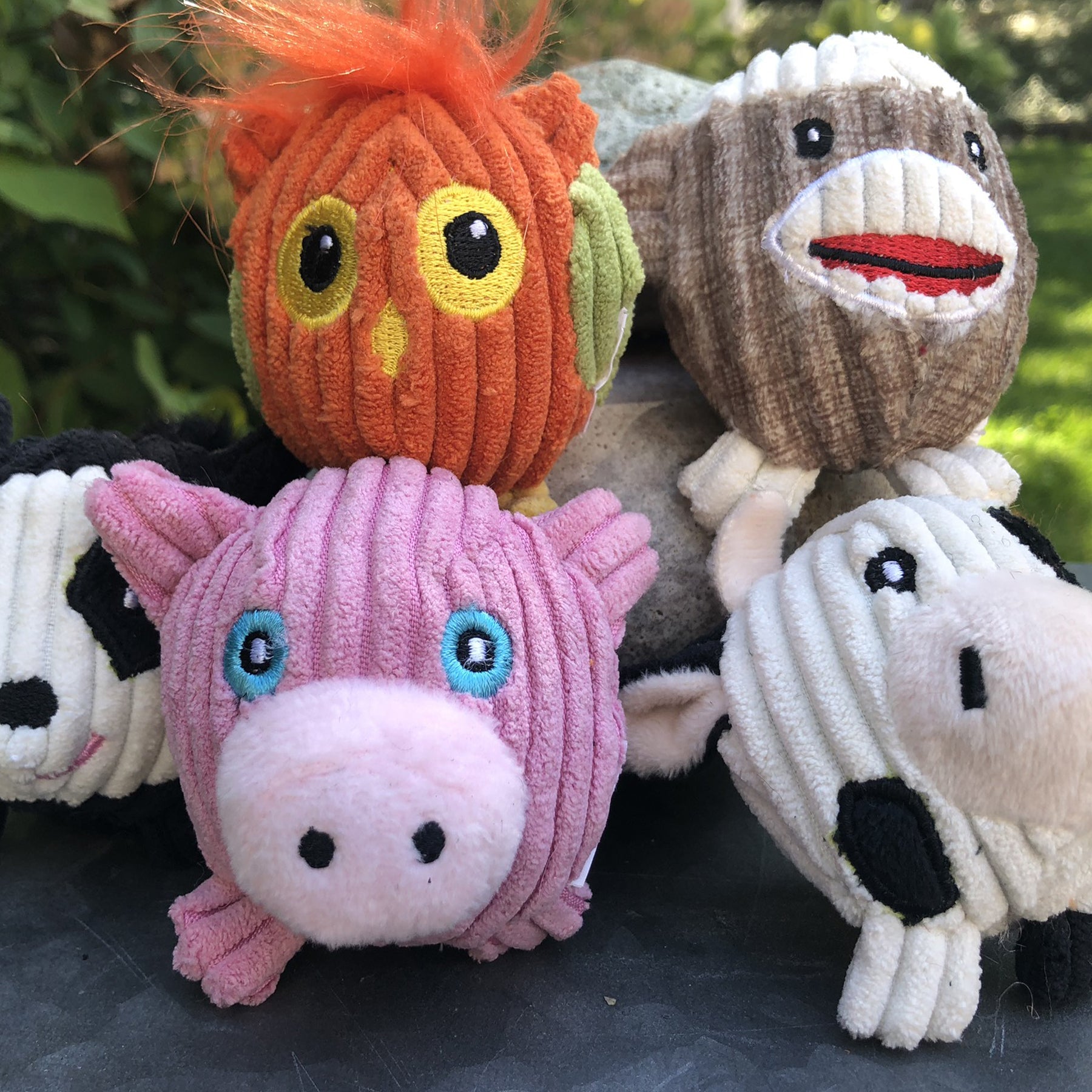 Wee Huggles Assorted Balls Dog Toys, 5 Pack