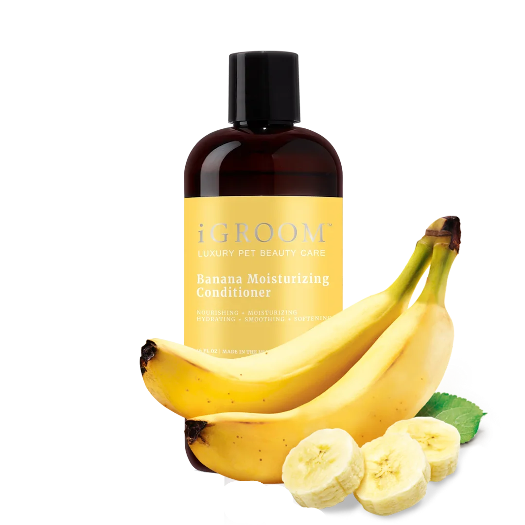 Banana Moisturizing Conditioner 16oz by iGroom