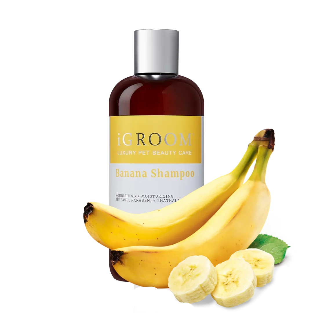 Banana Shampoo 16oz by iGroom