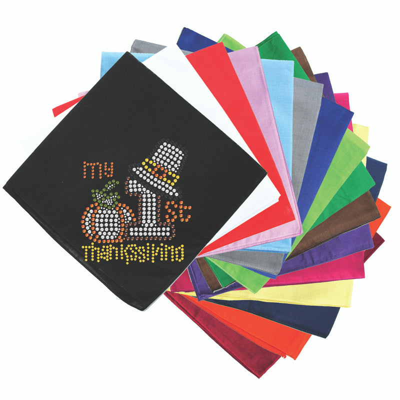 My First Thanksgiving - Bandanna