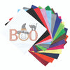 Boo with Hat and Cat Bandanna