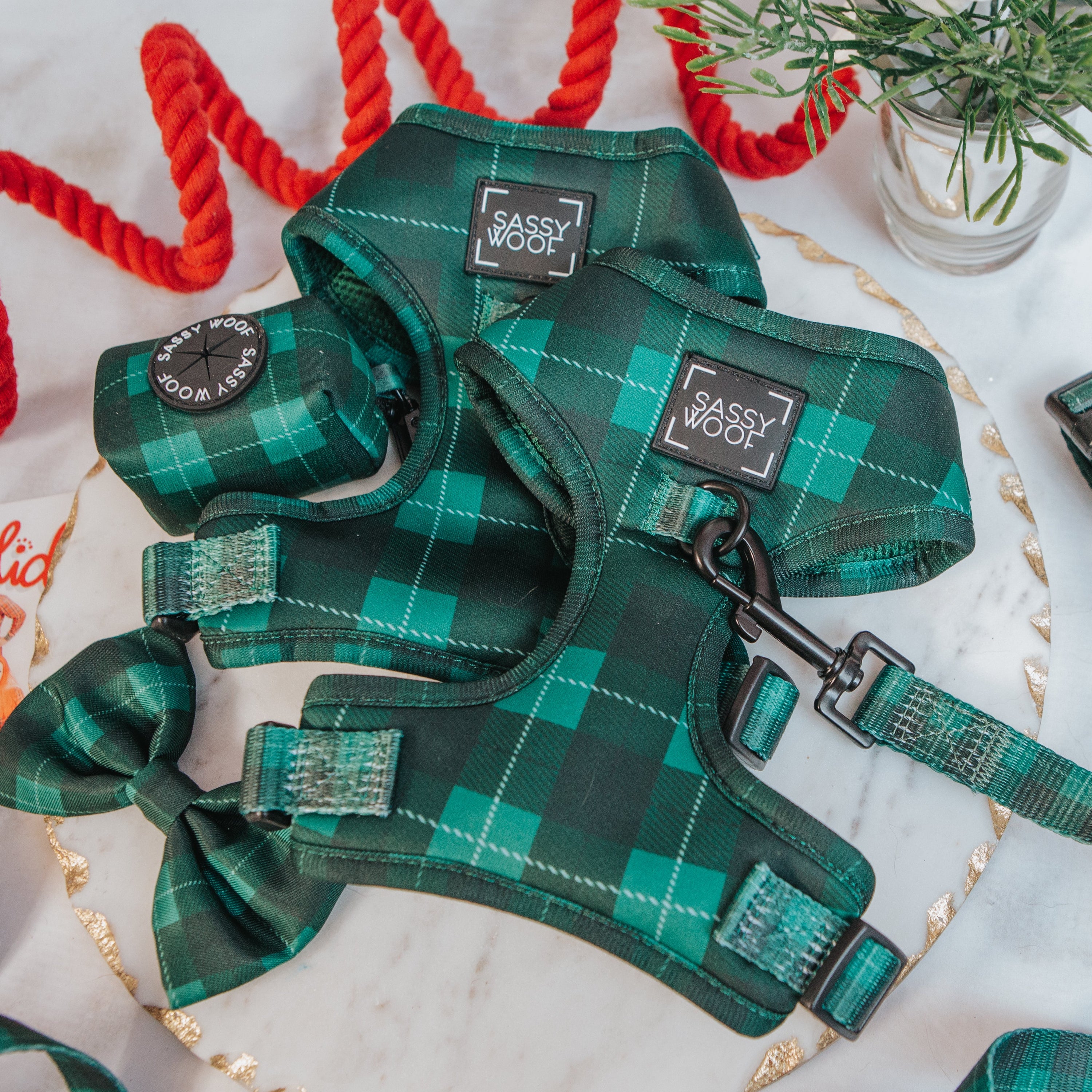 Dog Adjustable Harness - Barks of Holly