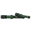 Dog Collar - Barks of Holly