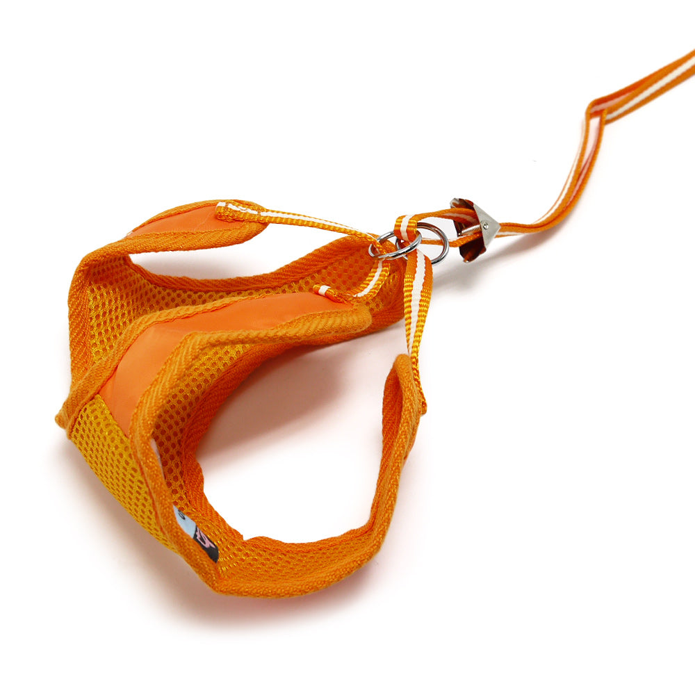 DOGO EasyGO Basic Dog Harness and Leash Set