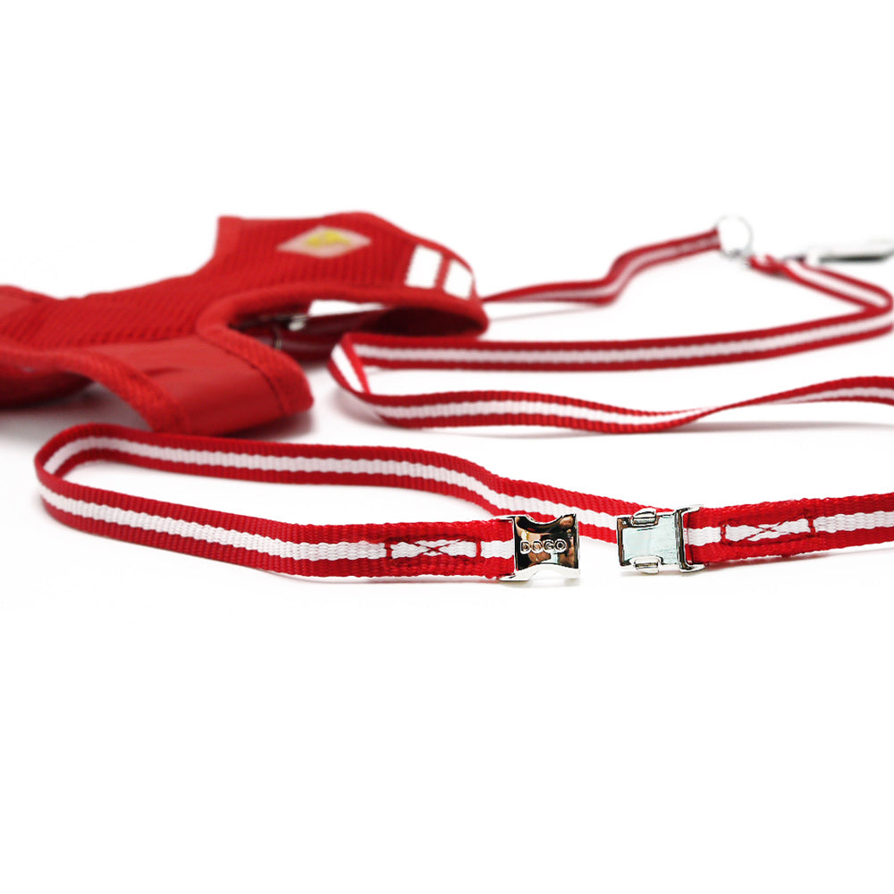DOGO EasyGO Basic Dog Harness and Leash Set