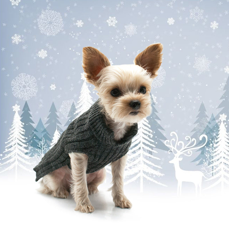 DOGO PP Basic Turtleneck Dog Sweater
