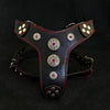 Bestia Dog Gear Genuine Leather Dog Harness - Black