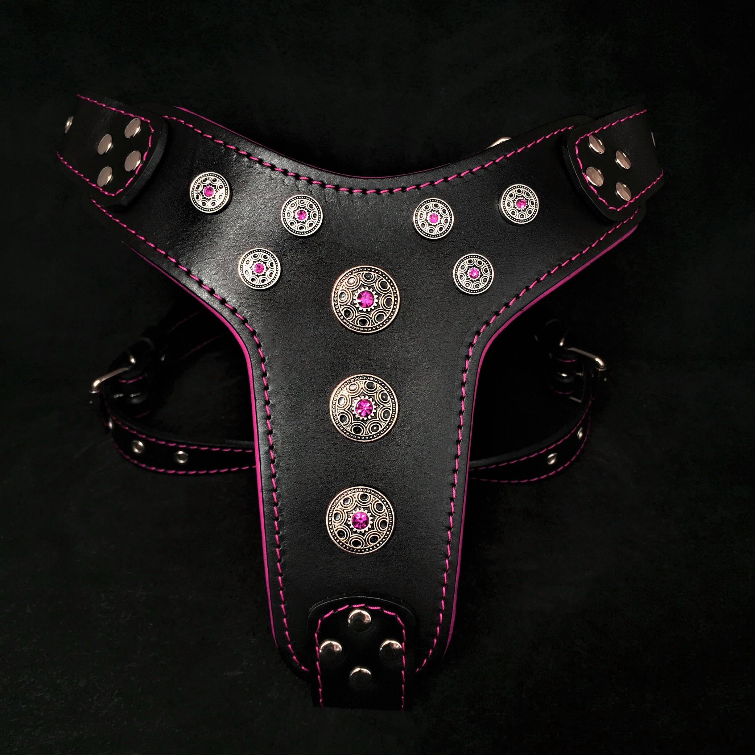 Bestia Dog Gear Genuine Leather Dog Harness - Black/M 