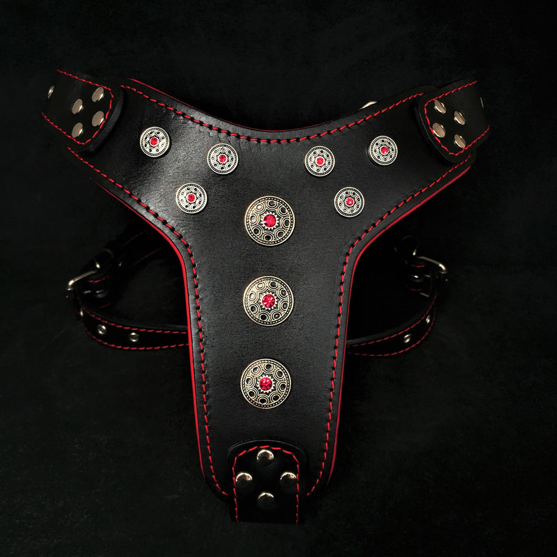 Bestia Dog Gear Genuine Leather Dog Harness - Black/M 