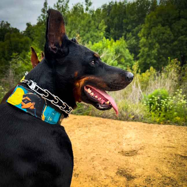 Bestia BCW Limited Edition Leather Dog Collar