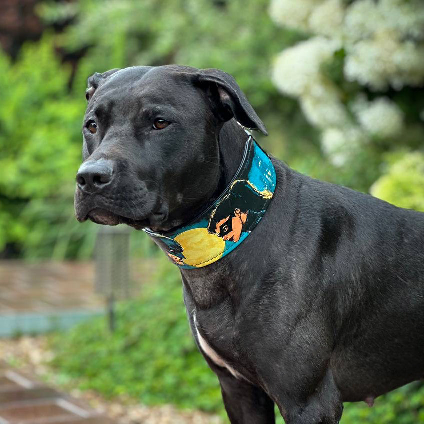 Bestia BCW Limited Edition Leather Dog Collar