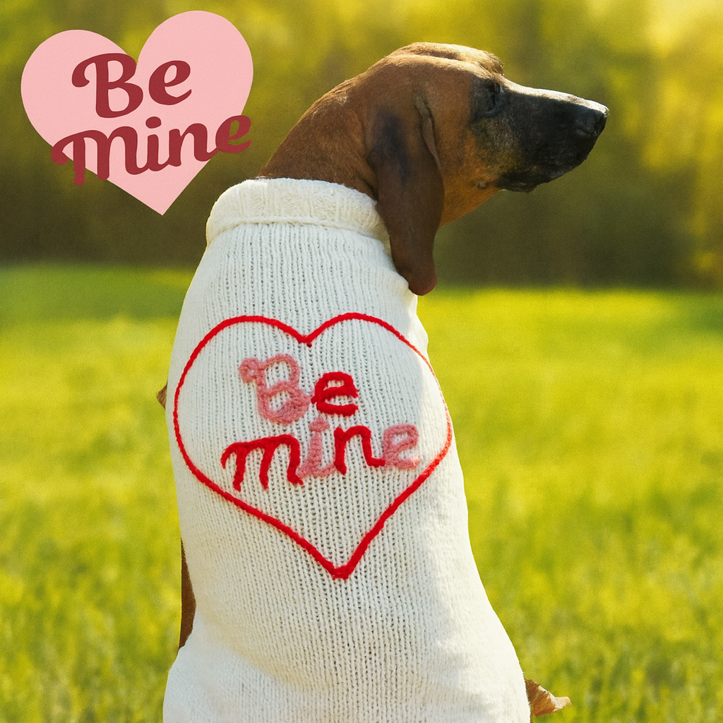 Chilly Dog Be Mine Wool Dog Sweater