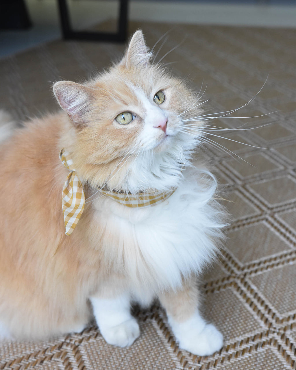 Adventure Necktie