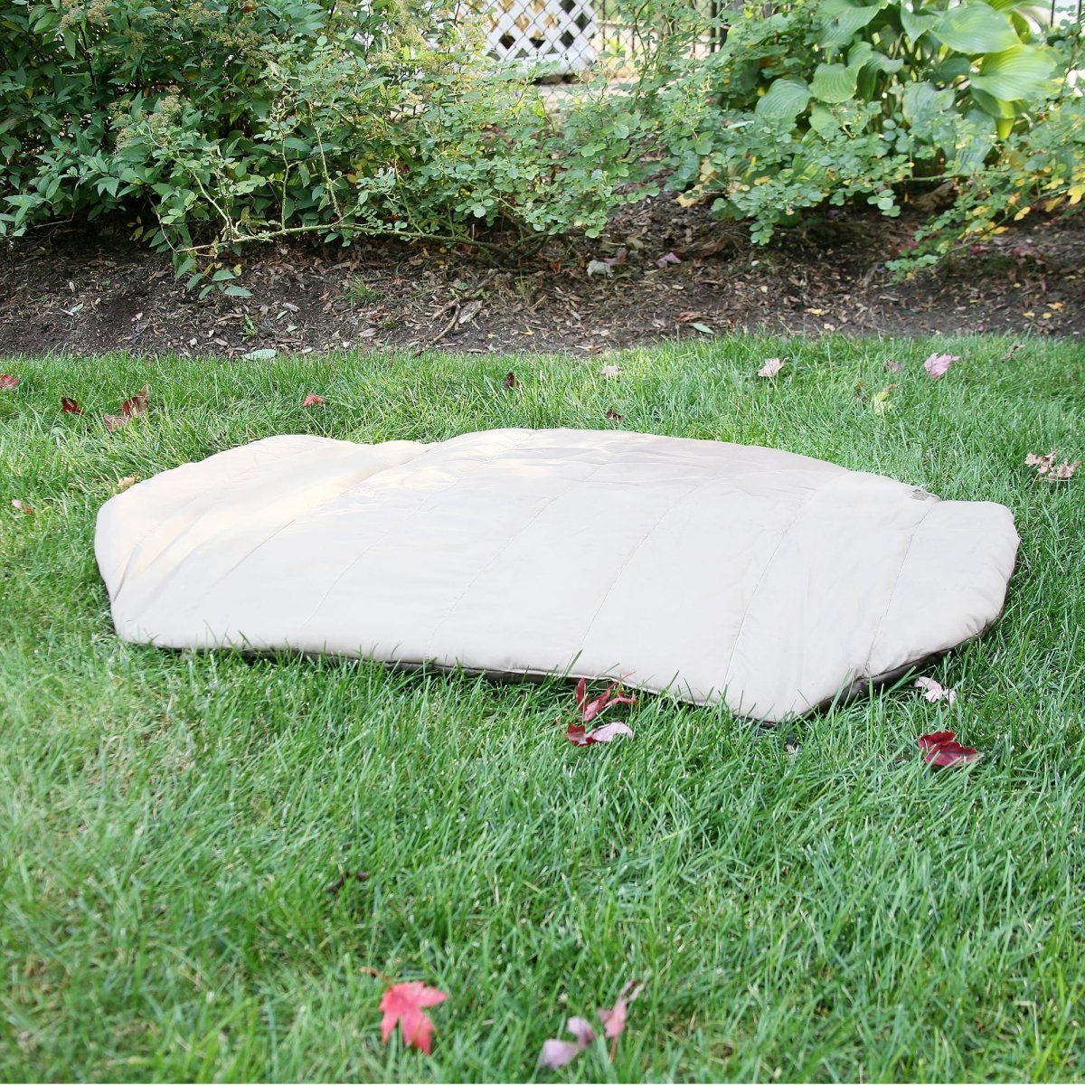 Bed n a Bag Travel Dog Bed