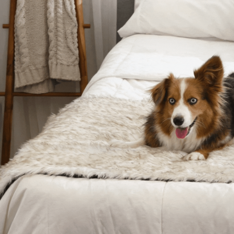 PupProtector Waterproof Bed Runner White with Brown Accents