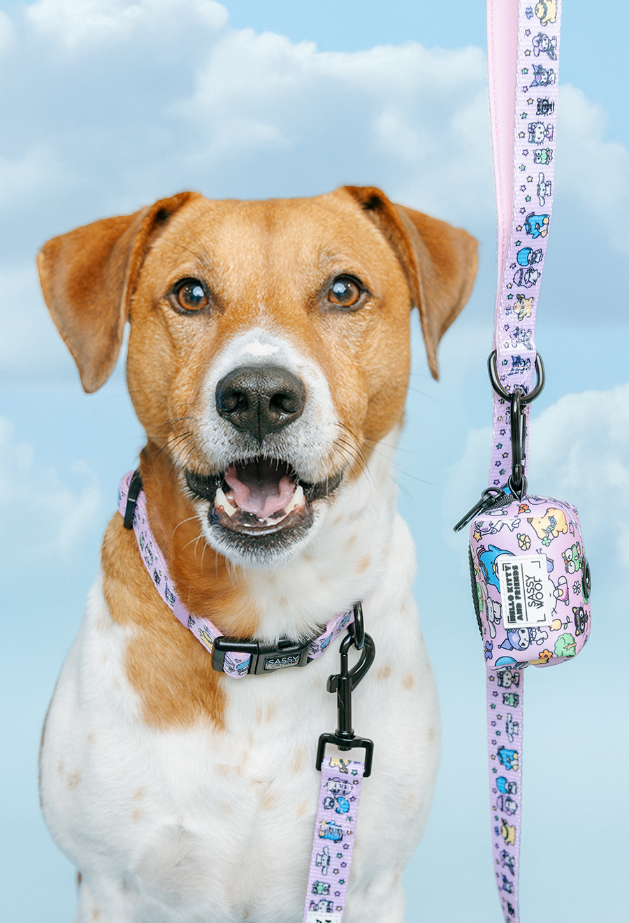 Dog Collar - Hello Kitty® & Friends Flower Festival