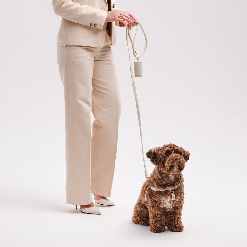 Dog Leash