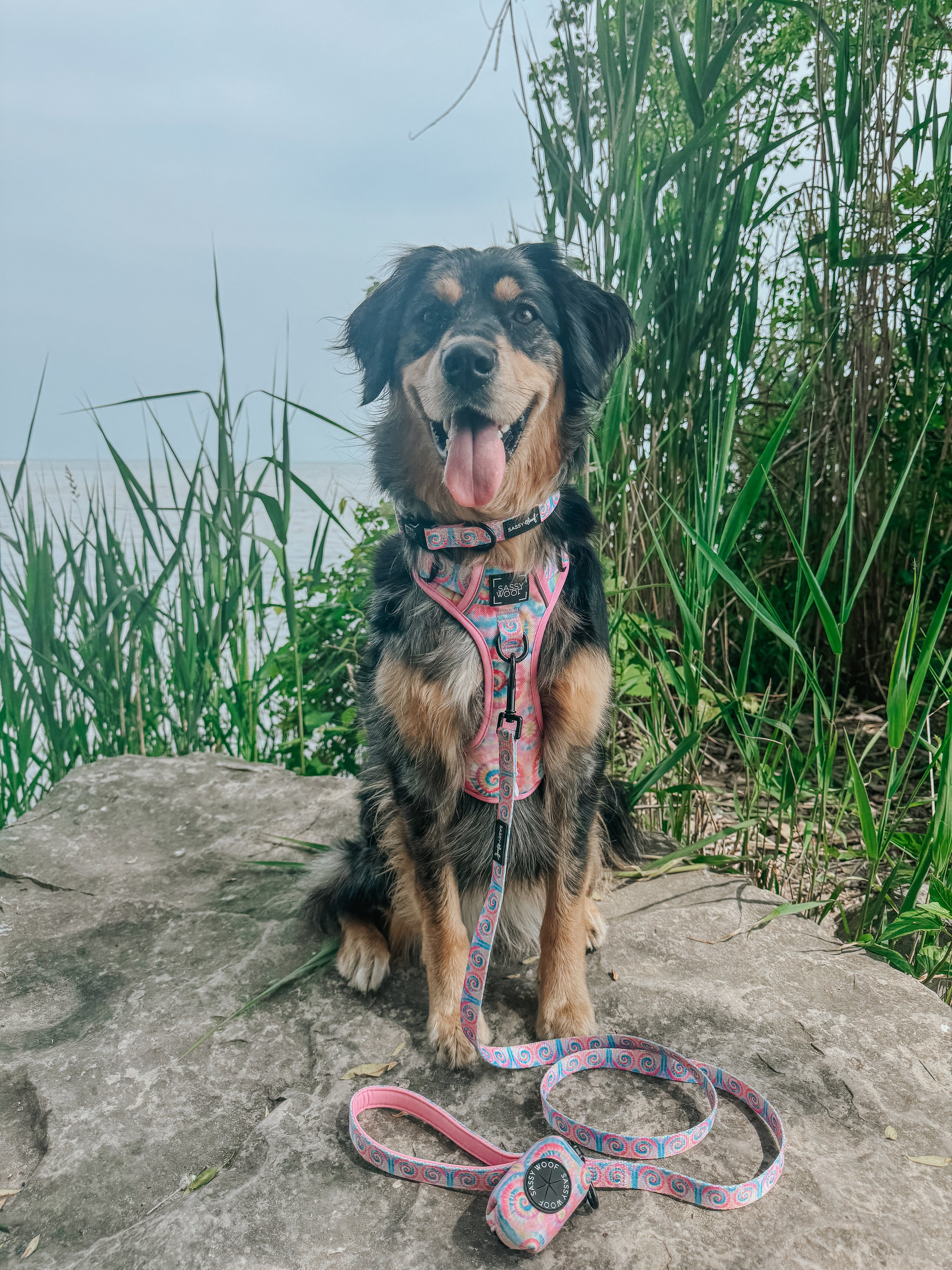 Dog Step-in Harness - Good Vibes