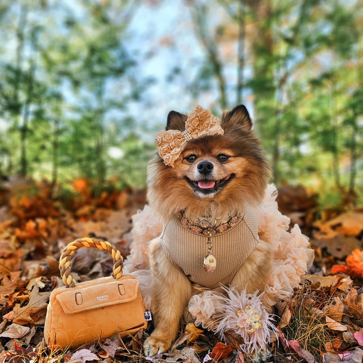 Premium Pet Essential: BARKIN BAG